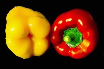 "Peppers"