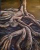 "Fig Tree Roots"