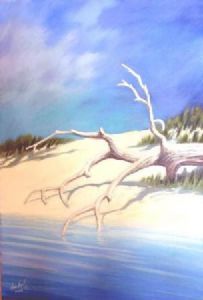 "Beach Log"