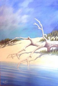 "Beach Log"