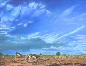 "Kalahari Springbok"