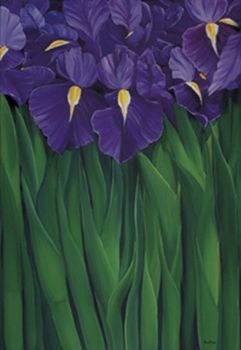 "Iris 2 of 2 (Diptych)"