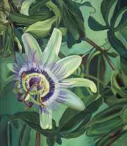 "Passion Flower"