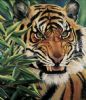 "Wild By Nature"