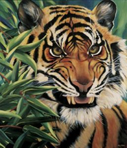 "Wild By Nature"