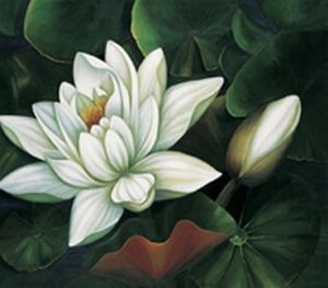 "Waterlily 1-print only"