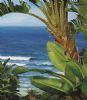 "Seascape Peninsula"