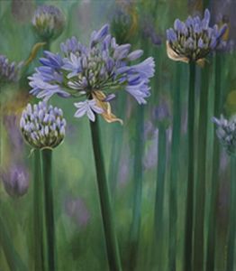"Agapanthus"