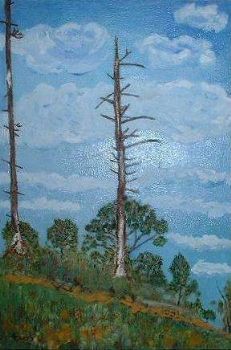 "Two Burnt Pines"