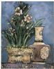 "Cream Daffodils"