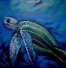 "leatherback turtle"