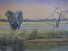 "Elephant Sunset"