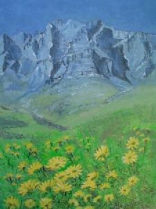 "Daisies in the Boland"