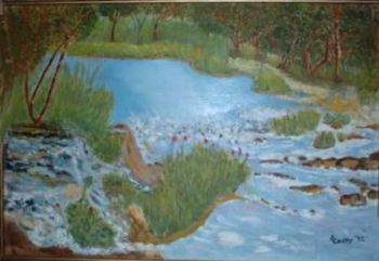 "Stream in Dullstroom"