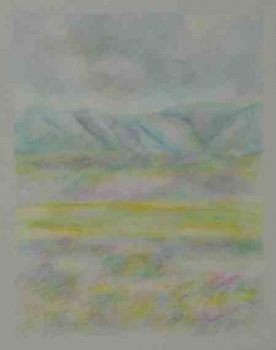 "Flowers and Mustardfields"