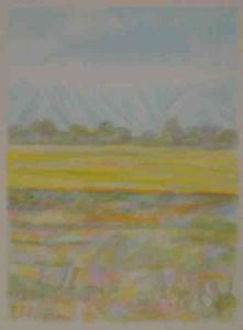 "Zebra Landscape: With Snow and Mustard Fields"