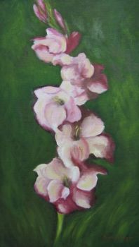 "Glads"