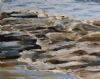 "Sea margin"