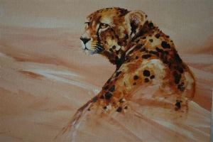 "Cheetah portrait"