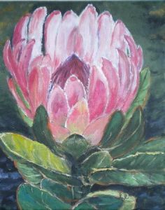 "One Protea"