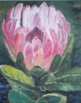 "One Protea"