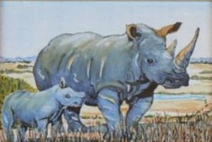 "Rhino and calf"