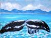 "Lovely Whale Tail"