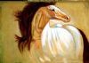 "Stallion"