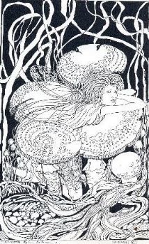 "Fairies Series: Mushrooms"