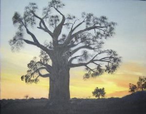 "Baobab Tree - Sunset"