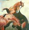 "Fighting stallions"