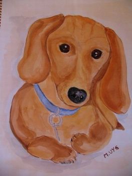 "Dachshund"