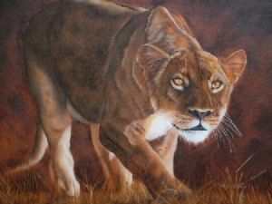 "Lioness on Prowl"
