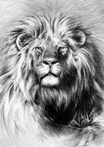 Janet Snyman - Lion King | Animals & Wildlife Art World Art