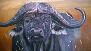 "African Buffalo 2"