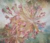 "Indigenous Candelabra Flower"