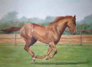 "Thoroughbred Racehorse"