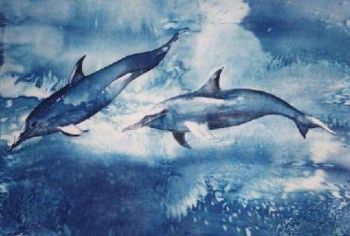 "Dolphins"