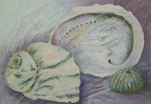 "Shells"