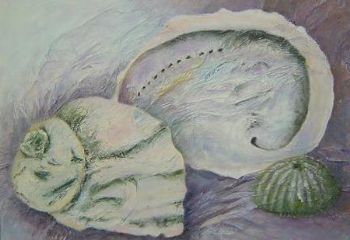 "Shells"