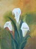 "Arum Lilies"