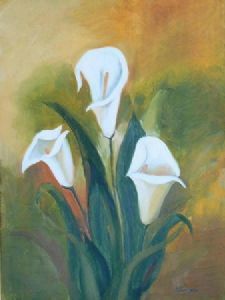 "Arum Lilies"