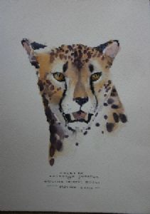 "Illustration Cheetah"