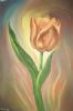 "Orange Tulip 1"