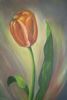 "Orange Tulip 2"