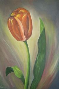 "Orange Tulip 2"