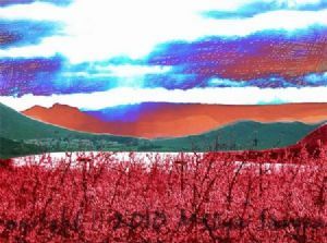 "Karoo Place"