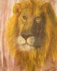 "Kgalagadi Lion"