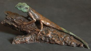 "Southern Tree Agama"