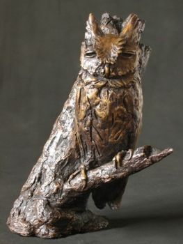 "African Scops Owl"